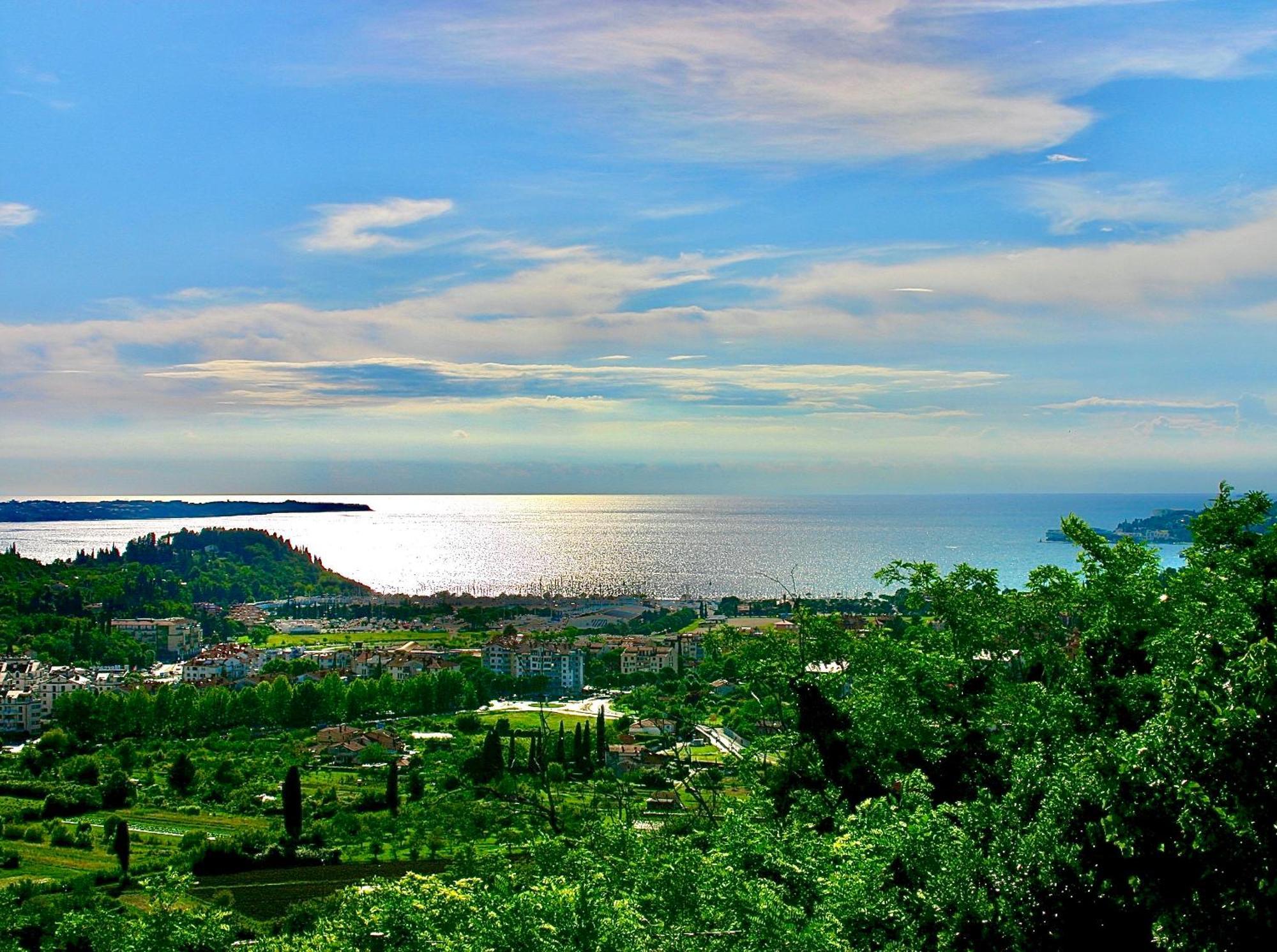 Sea View Olive Retreat Apartment Portoroz Exterior photo